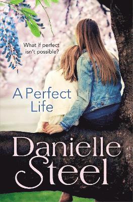 Danielle Steel - Perfect Life, Häftad