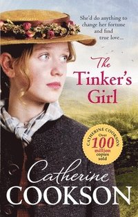 bokomslag Tinker's Girl