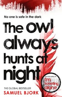 bokomslag The Owl Always Hunts At Night