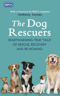 The Dog Rescuers 1