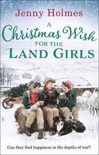 bokomslag A Christmas Wish for the Land Girls
