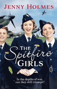 bokomslag The Spitfire Girls