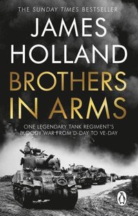 bokomslag Brothers in Arms - One Legendary Tank Regiment's Bloody War from D-Day to V