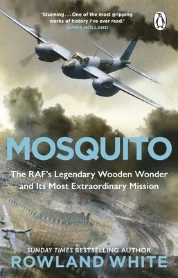 Mosquito 1