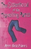 bokomslag Sisterhood of the Travelling Pants, The