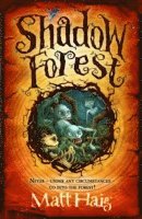 Shadow Forest 1