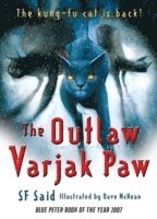 bokomslag The Outlaw Varjak Paw