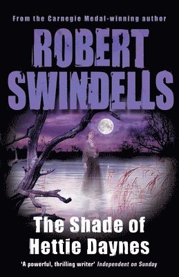 Robert Swindells - Shade of Hettie Daynes, Häftad
