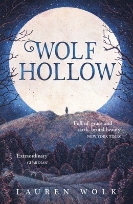 bokomslag Wolf Hollow