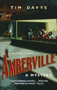 bokomslag Amberville