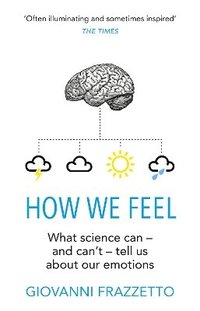 bokomslag How We Feel