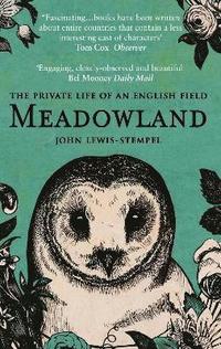 bokomslag Meadowland