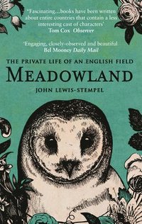 bokomslag Meadowland