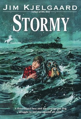 Stormy 1