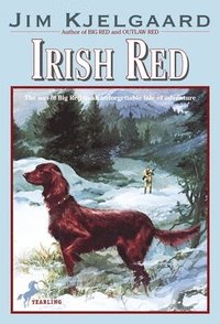 bokomslag Irish Red