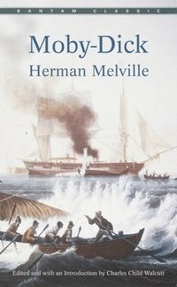 bokomslag Moby-Dick
