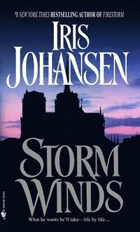 bokomslag Storm Winds