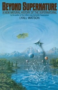 bokomslag Beyond Supernature: A New Natural History of the Supernatural