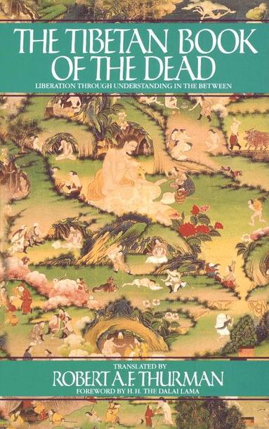 bokomslag Tibetan Book of the Dead