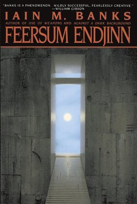 Feersum Endjinn 1