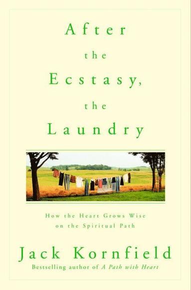 bokomslag After the Ecstasy, the Laundry: How the Heart Grows Wise on the Spiritual Path
