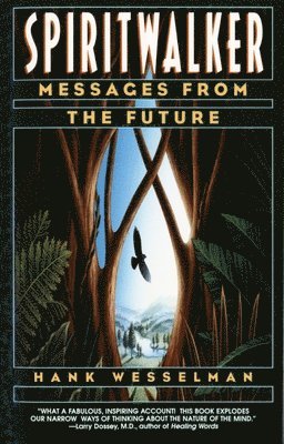 bokomslag Spiritwalker: Messages from the Future