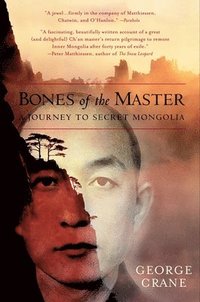 bokomslag Bones of the Master