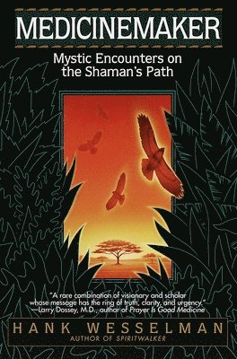 Medicinemaker: Mystic Encounters on the Shaman's Path 1