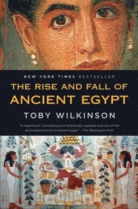 bokomslag The Rise and Fall of Ancient Egypt