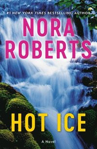 bokomslag Hot Ice