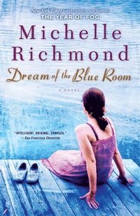 bokomslag Dream of the Blue Room