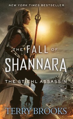 bokomslag The Stiehl Assassin