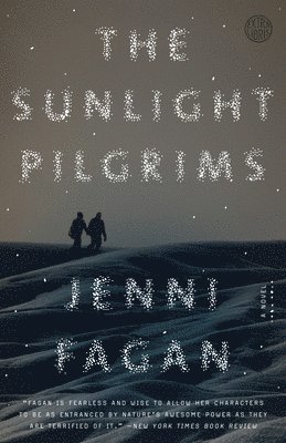 bokomslag The Sunlight Pilgrims: The Sunlight Pilgrims: A Novel