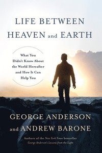 bokomslag Life Between Heaven and Earth