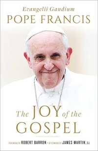 bokomslag The Joy of the Gospel: Evangelii Gaudium