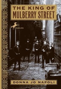 bokomslag The King of Mulberry Street
