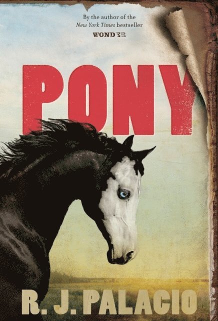 Pony 1