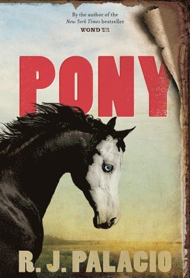 bokomslag Pony