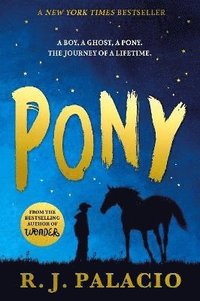 bokomslag Pony