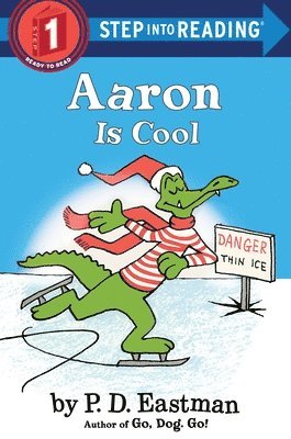 Aaron is Cool 1