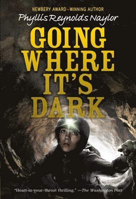 Phyllis Reynolds Naylor - Naylor, P: Going Where It's Dark, Häftad