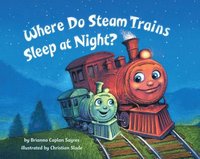 bokomslag Where Do Steam Trains Sleep at Night?