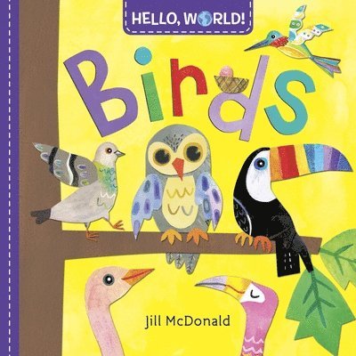 Hello, World! Birds 1