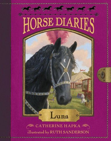 Catherine Hapka - Horse Diaries #12: Luna, Häftad