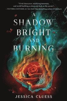 A Shadow Bright and Burning (Kingdom on Fire, Book One) 1