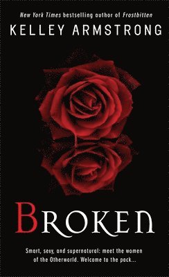 bokomslag Broken