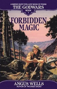 bokomslag Forbidden Magic: The Godwars Book 1