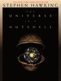 bokomslag The Universe in a Nutshell