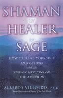 Shaman, Healer, Sage 1