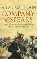Company Of Spears 1
